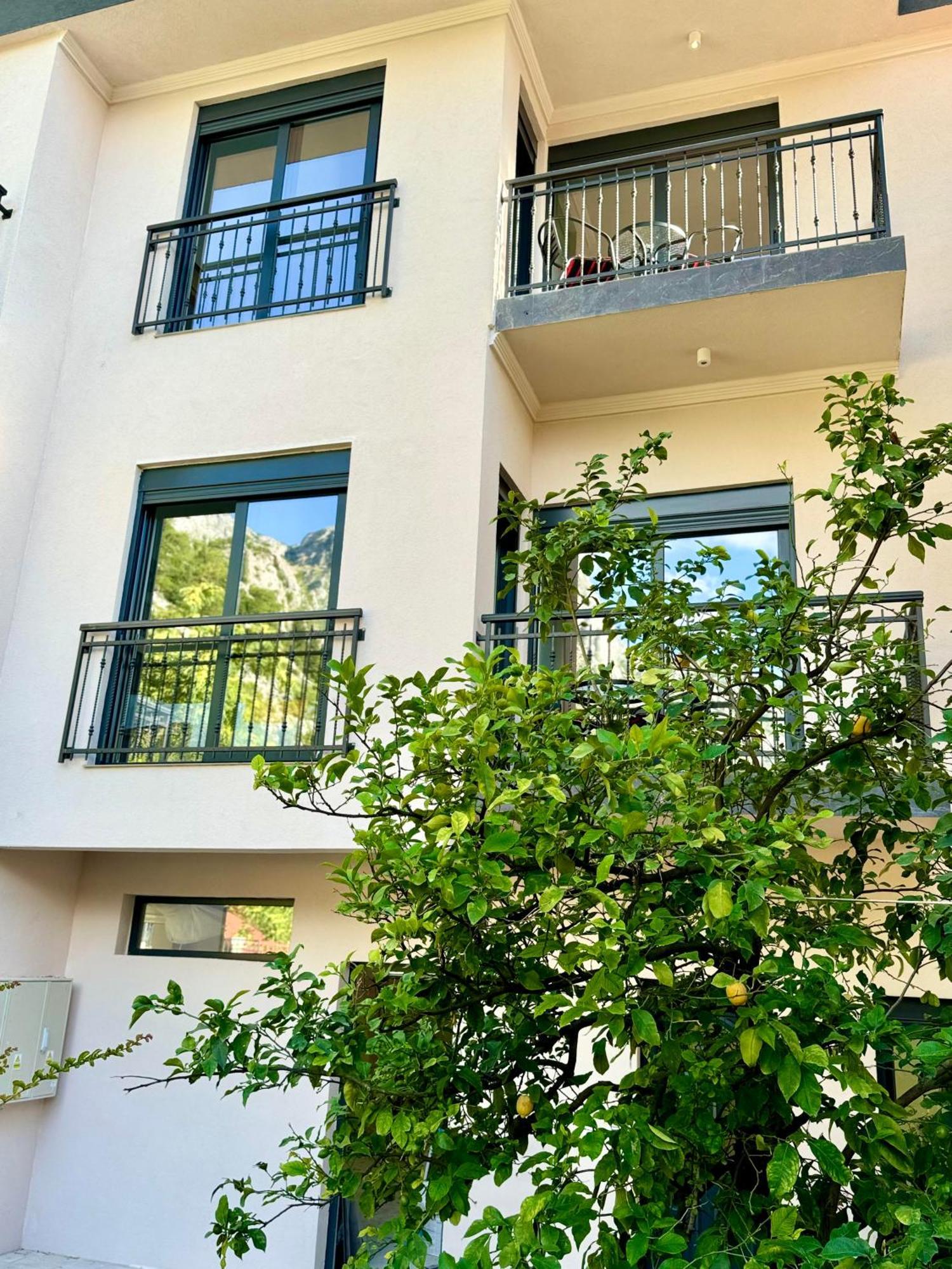 Harmony Garden Apartments Kotor Exterior photo